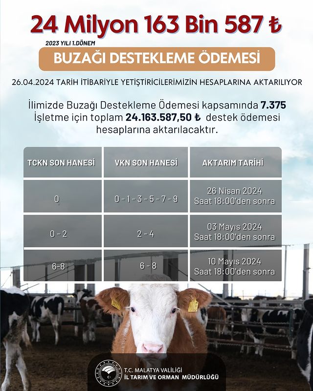 Malatya'da Çiftlik İşletmelerine 2023 Yılı Buzağı Destekleme Ödemeleri Başladı